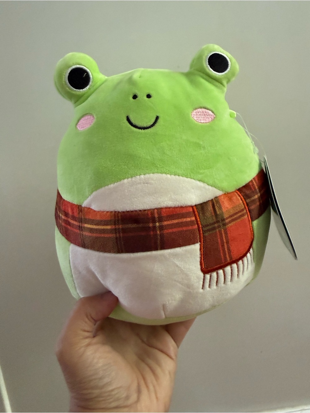 Squishmallow Plush 8" Wendy Frog Green NWT NEW